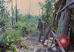 Standbild Viet Cong Gräber Vietnam, 1968, aus Sekunde 21 historischem Filmmaterial Videoclip 65675040368