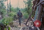 Standbild Viet Cong Gräber Vietnam, 1968, aus Sekunde 22 historischem Filmmaterial Videoclip 65675040368