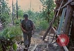 Standbild Viet Cong Gräber Vietnam, 1968, aus Sekunde 24 historischem Filmmaterial Videoclip 65675040368