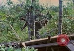 Standbild Viet Cong Gräber Vietnam, 1968, aus Sekunde 28 historischem Filmmaterial Videoclip 65675040368