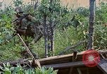 Standbild Viet Cong Gräber Vietnam, 1968, aus Sekunde 29 historischem Filmmaterial Videoclip 65675040368