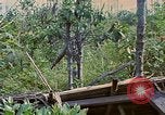 Standbild Viet Cong Gräber Vietnam, 1968, aus Sekunde 30 historischem Filmmaterial Videoclip 65675040368