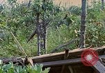 Standbild Viet Cong Gräber Vietnam, 1968, aus Sekunde 31 historischem Filmmaterial Videoclip 65675040368