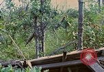 Standbild Viet Cong Gräber Vietnam, 1968, aus Sekunde 32 historischem Filmmaterial Videoclip 65675040368