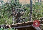 Standbild Viet Cong Gräber Vietnam, 1968, aus Sekunde 36 historischem Filmmaterial Videoclip 65675040368