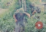 Standbild Viet Cong Gräber Vietnam, 1968, aus Sekunde 52 historischem Filmmaterial Videoclip 65675040368