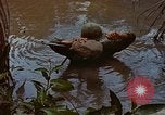 Standbild Aktivitäten Vietnam, 1968, aus Sekunde 10 historischem Filmmaterial Videoclip 65675040369