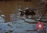 Standbild Aktivitäten Vietnam, 1968, aus Sekunde 12 historischem Filmmaterial Videoclip 65675040369