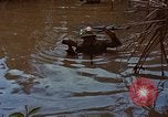 Standbild Aktivitäten Vietnam, 1968, aus Sekunde 13 historischem Filmmaterial Videoclip 65675040369