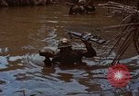Standbild Aktivitäten Vietnam, 1968, aus Sekunde 16 historischem Filmmaterial Videoclip 65675040369