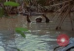 Standbild Aktivitäten Vietnam, 1968, aus Sekunde 32 historischem Filmmaterial Videoclip 65675040369