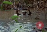 Standbild Aktivitäten Vietnam, 1968, aus Sekunde 33 historischem Filmmaterial Videoclip 65675040369