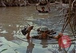 Standbild Aktivitäten Vietnam, 1968, aus Sekunde 48 historischem Filmmaterial Videoclip 65675040369