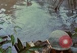 Standbild Aktivitäten Vietnam, 1968, aus Sekunde 54 historischem Filmmaterial Videoclip 65675040369