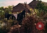 Standbild Native Bevölkerung in Vietnam Vietnam, 1965, aus Sekunde 26 historischem Filmmaterial Videoclip 65675040371