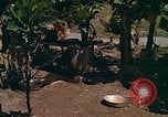 Standbild Native Bevölkerung in Vietnam Vietnam, 1965, aus Sekunde 12 historischem Filmmaterial Videoclip 65675040373