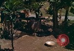 Standbild Native Bevölkerung in Vietnam Vietnam, 1965, aus Sekunde 13 historischem Filmmaterial Videoclip 65675040373