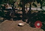 Standbild Native Bevölkerung in Vietnam Vietnam, 1965, aus Sekunde 24 historischem Filmmaterial Videoclip 65675040373