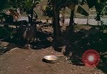 Standbild Native Bevölkerung in Vietnam Vietnam, 1965, aus Sekunde 25 historischem Filmmaterial Videoclip 65675040373