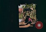 Image of Native people of Vietnam Vietnam, 1965, second 21 stock footage video 65675040374