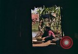 Image of Native people of Vietnam Vietnam, 1965, second 27 stock footage video 65675040374