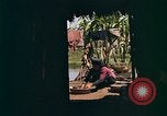 Image of Native people of Vietnam Vietnam, 1965, second 28 stock footage video 65675040374