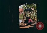 Image of Native people of Vietnam Vietnam, 1965, second 36 stock footage video 65675040374