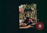 Image of Native people of Vietnam Vietnam, 1965, second 43 stock footage video 65675040374