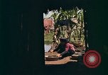 Image of Native people of Vietnam Vietnam, 1965, second 44 stock footage video 65675040374