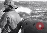 Immagine di U-boat tedesca Mare del Nord, 1940, secondo 42 filmato di repertorio 65675040376