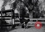 Standbild California Ostrich Farm Los Angeles California USA, 1916, aus Sekunde 6 historischem Filmmaterial Videoclip 65675040389