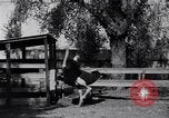 Standbild California Ostrich Farm Los Angeles California USA, 1916, aus Sekunde 7 historischem Filmmaterial Videoclip 65675040389