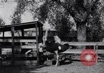 Standbild California Ostrich Farm Los Angeles California USA, 1916, aus Sekunde 9 historischem Filmmaterial Videoclip 65675040389