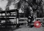 Standbild California Ostrich Farm Los Angeles California USA, 1916, aus Sekunde 10 historischem Filmmaterial Videoclip 65675040389