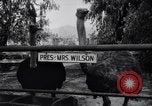 Standbild California Ostrich Farm Los Angeles California USA, 1916, aus Sekunde 20 historischem Filmmaterial Videoclip 65675040389