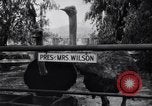 Standbild California Ostrich Farm Los Angeles California USA, 1916, aus Sekunde 24 historischem Filmmaterial Videoclip 65675040389
