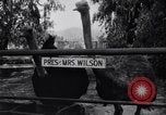 Standbild California Ostrich Farm Los Angeles California USA, 1916, aus Sekunde 25 historischem Filmmaterial Videoclip 65675040389