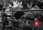 Standbild California Ostrich Farm Los Angeles California USA, 1916, aus Sekunde 54 historischem Filmmaterial Videoclip 65675040389