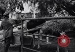 Standbild California Ostrich Farm Los Angeles California USA, 1916, aus Sekunde 58 historischem Filmmaterial Videoclip 65675040389