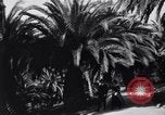 Standbild North Hill Street Los Angeles California USA, 1916, aus Sekunde 53 historischem Filmmaterial Videoclip 65675040396