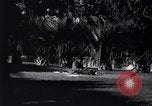 Standbild Westlake Park Los Angeles California USA, 1916, aus Sekunde 39 historischem Filmmaterial Videoclip 65675040397