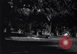 Standbild Westlake Park Los Angeles California USA, 1916, aus Sekunde 46 historischem Filmmaterial Videoclip 65675040397