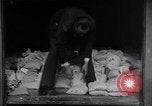 Immagine di Argento portare valuta mix-up Città del Messico MESSICO, 1934, secondo 32 filmato di repertorio 65675040418
