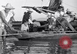 Immagine di Los Banos internamento Camp Laguna Filippine, 1945, secondo 10 filmato di repertorio 65675040427