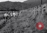 Immagine di Los Banos internamento Camp Laguna Filippine, 1945, secondo 17 filmato di repertorio 65675040427