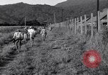 Immagine di Los Banos internamento Camp Laguna Filippine, 1945, secondo 18 filmato di repertorio 65675040427