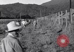 Immagine di Los Banos internamento Camp Laguna Filippine, 1945, secondo 19 filmato di repertorio 65675040427
