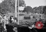 Immagine di Los Banos internamento Camp Laguna Filippine, 1945, secondo 57 filmato di repertorio 65675040427