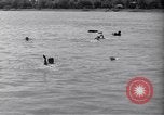 Standbild Los Banos Internierungslager Laguna Philippinen, 1945, aus Sekunde 10 historischem Filmmaterial Videoclip 65675040428