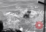 Standbild Los Banos Internierungslager Laguna Philippinen, 1945, aus Sekunde 18 historischem Filmmaterial Videoclip 65675040428